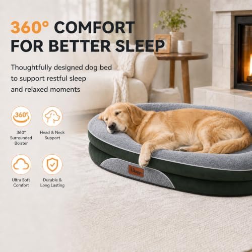 Orthopedic Dog Beds Large Sized Dog, Washable Dog Bed, 48" L, Green