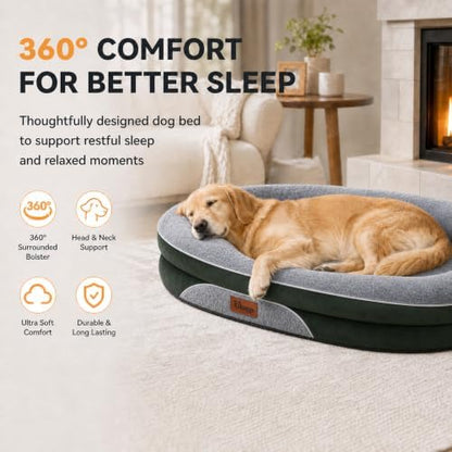 Orthopedic Dog Beds Large Sized Dog, Washable Dog Bed, 48" L, Green
