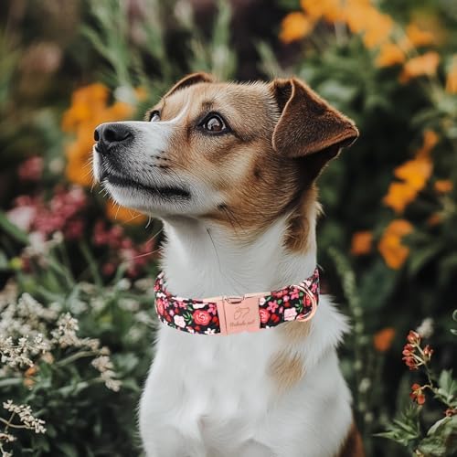 Floral Dog Collar - Rose Red Wild Flowers Pattern Cute Puppy Collar, Adjustable Winter Holiday Metal Buckle Dog Collars for Small Medium Large Dogs L