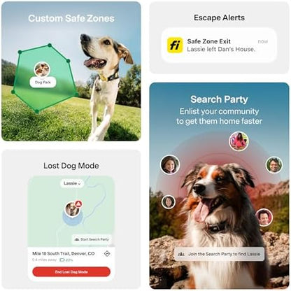 Fi Series 3+ GPS Dog Collar & Tracker, 12-Mo Membership Included, Gray S