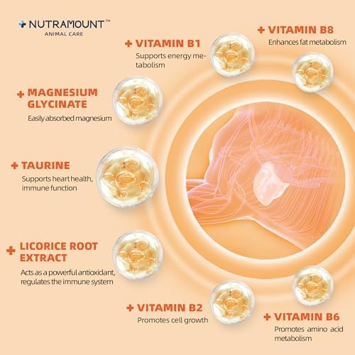 Horse Taurine Supplement Powder for Performance & Nerve Support | Equine Taurine with Magnesium for Focus, Muscle & Stress Balance | Daily Feed Powder 28-Day Supply