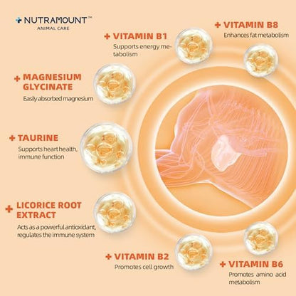 Horse Taurine Supplement Powder for Performance & Nerve Support | Equine Taurine with Magnesium for Focus, Muscle & Stress Balance | Daily Feed Powder 28-Day Supply