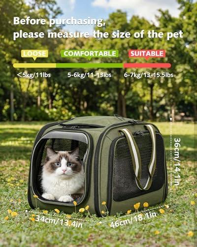 Pecute Cat Carrier,Double Bubble Pet Carrier for Cat Small Dogs,Green,L