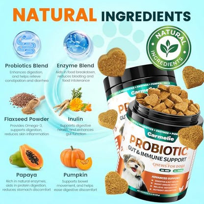 Carmelie Probiotics for Dogs Yeast, Gut Health for Digestive Enzymes 200ct