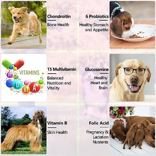 15-in-1 Dog Multivitamin Drops, Liquid Multivitamin Drops for Dogs, 2 oz