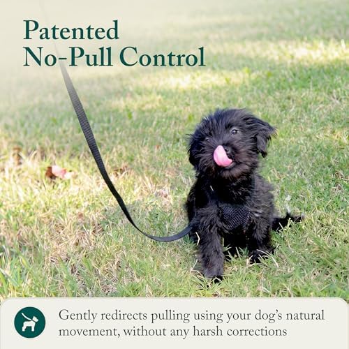 Sporn No Pull Dog Harness, Durable Nylon Mesh Harness for Small Dogs, No Choke Design, Padded Restraint Sleeves, Adjustable Fit, Easy On/Off, Ideal for Small Breeds, Black