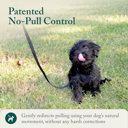 Sporn No Pull Dog Harness, Durable Nylon Mesh Harness for Small Dogs, No Choke Design, Padded Restraint Sleeves, Adjustable Fit, Easy On/Off, Ideal for Small Breeds, Black
