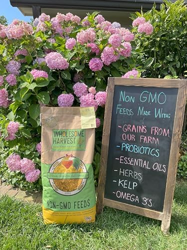 Chick Starter Feed - Non-GMO Chick Food Starter with Omega 3 and Natural, Herbal Ingredients - Chicken Feed for Growing Healthy Chicks with High-Protein 22% and Probiotics - 25 Lb