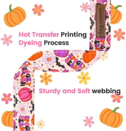 Fall Dog Collar, Halloween Pumpkin Floral Design Pet Collar for Small Dogs