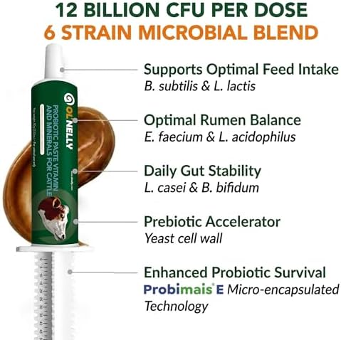 Ruminant Probiotic Paste for Cattle & Goats | Prebiotic + Probiotic | 6 Strains, 12B CFU | Digestive, Rumen & Immune Support - Pack of 2-80G Each