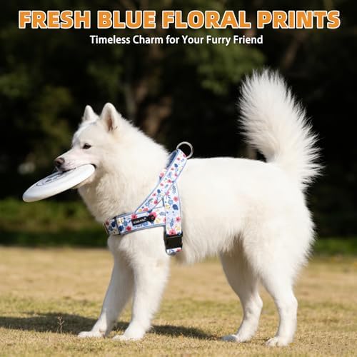 KOOLTAIL No Pull Small Dog Harness with Soft Padded and Handle, Easy Walk Puppy Vest Harness Neck & Chest Adjustable, Reflective & Lightweight Escape Proof Breathable Mesh Medium Pet Harness, Blue S