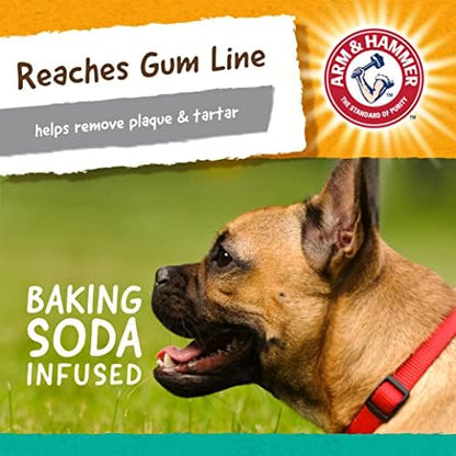 Arm & Hammer Super Treadz Gorilla Dental Dog Chew Toy, Large