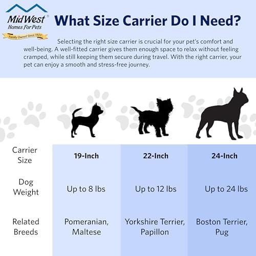 MidWest Spree Travel Carrier, 19-Inch, Small Dog & Cat Crate