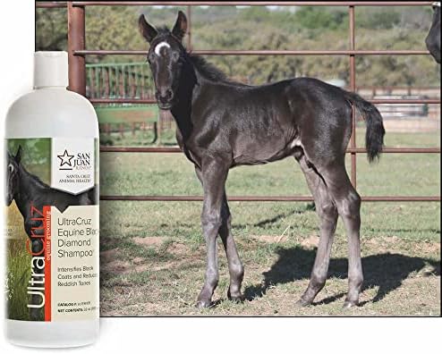 UltraCruz-sc-516104 Equine Black Diamond Horse Shampoo, 16 oz