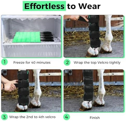 Ice Boots for Horses, Horse Ice Boots, Black & Green, 2 Pack