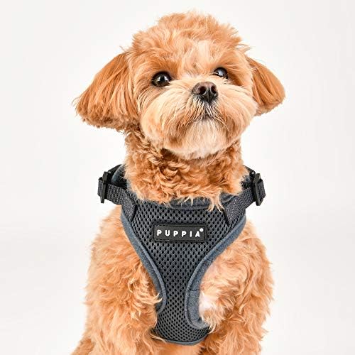 Authentic Puppia RiteFit Harness with Adjustable Neck, Black, Extra-Large
