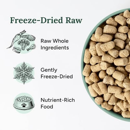 360 Pet Nutrition Freeze-Dried Raw Dog Food – Beef Recipe with Liver & Organs, High Protein with Omega-3s, Fruits, Veggies & Superfoods, Grain-Free, No Fillers, 1 lb – Made in USA
