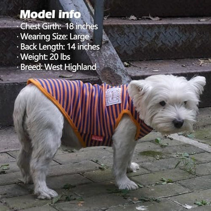 KYEESE 2Pack Dog Shirts Striped for Small Dogs Soft Stretchy T-Shirts Lightweight Tank Top Sleeveless Dog Vest Breathable Cat Shirt, Small, Orange+Green