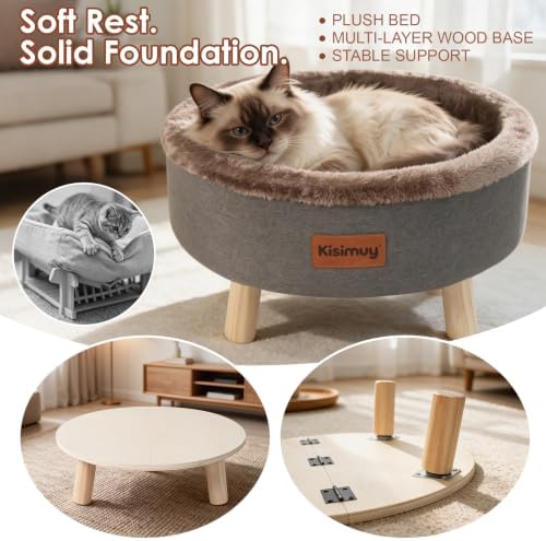 Raised Cat Bed Wooden for Small Cat, Cute Cat Couch with Cushion
