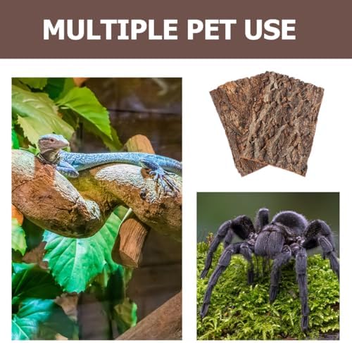 4PCS Cork Bark Reptile Platform Large Natural Wood Terrarium Climbing Decor