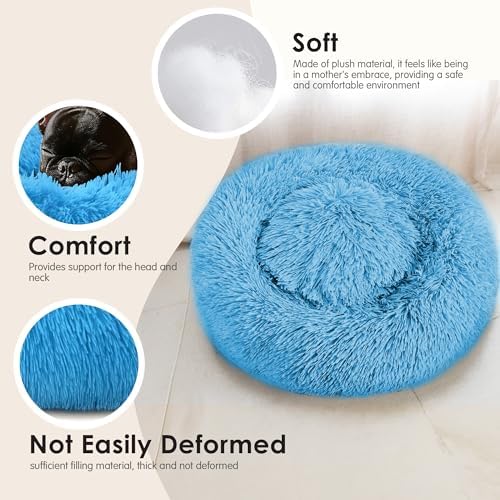 Hoewina Dog & Cat Bed, 20in Cat Beds for Indoor Cats (Light Blue)