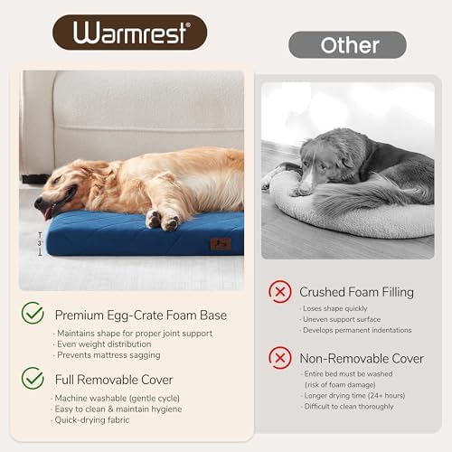 Orthopedic Dog Beds for Large Medium Dogs, Washable Pet Bed Mat with Removable Cover, Waterproof Egg Crate Foam Puppy Bed Anti Slip, 36" x 27", NOT for Chewers