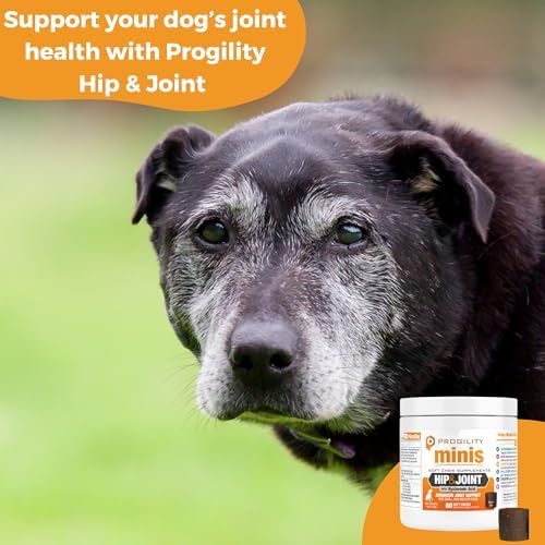 Progility Mini Hip & Joint Glucosamine Supplement, Small to Medium Dogs
