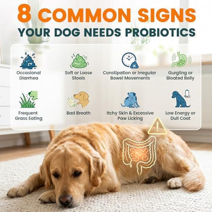 Carmelie Probiotics for Dogs Yeast, Gut Health for Digestive Enzymes 200ct