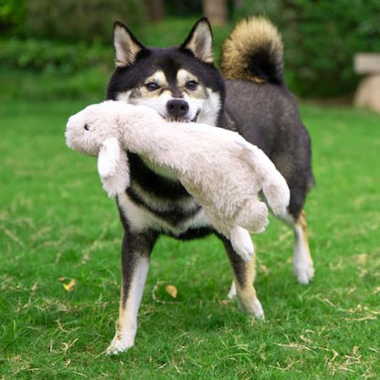 Best Pet Supplies 2-in-1 Stuffless Squeaky Dog Toy - Hare, Large