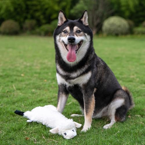 Best Pet Supplies 2-in-1 Stuffless Squeaky Dog Toy - Sheep, Small