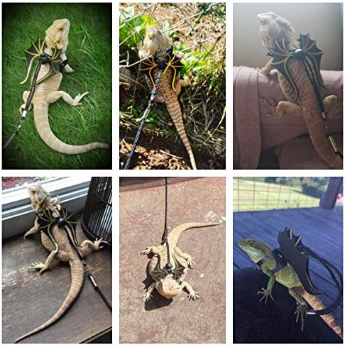ADOGGYGO Bearded Dragon Leash Harness Set, 3 Size Harness, Dinosaur Wing
