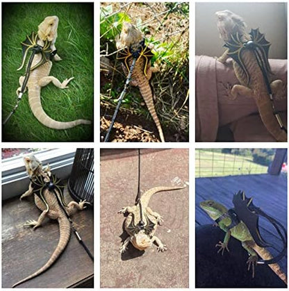 ADOGGYGO Bearded Dragon Leash Harness Set, 3 Size Harness, Dinosaur Wing