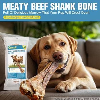 Real Beef Bones for Dogs with Meat - 8'' Big Dog Bones Beef Shank Bone, Rawhide-Free Long-Lasting Natural Single-Ingredient Dog Treats for Small, Medium & Large Dogs (1 Count)