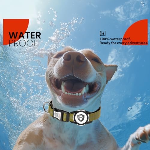 Waterproof AirTag Dog Collar with QR Code Dog Tag, Champagne XS