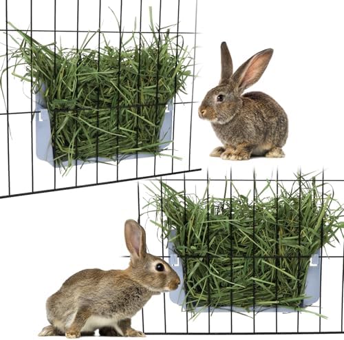 Hypeety Rabbit Hay Feeder Automatic Hay Rack for Guinea Pigs, Blue, 2pcs