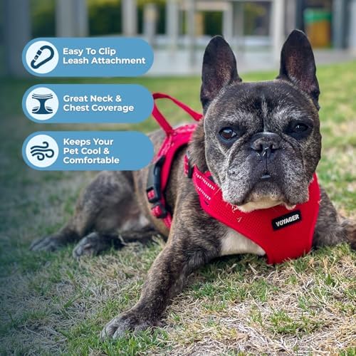 Best Pet Supplies Voyager Adjustable Step-in Flex Breathable Mesh Dog Harness for Small Medium Large Dogs Leash Set (Red), XL