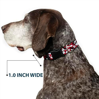 Disney Plastic Clip Dog Collar