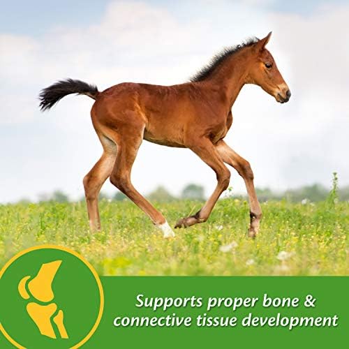 Farnam Grow Colt Supplement for Foal Growth & Development, 60 Day Supply
