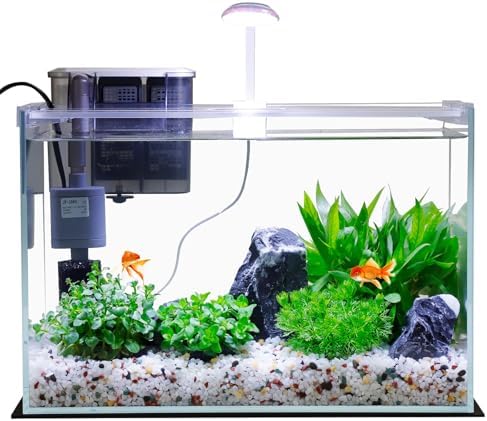 3 Gallon Glass Small Fish Tank, Betta Fish Tank Starter Kit with Filter, Lights,Lid.
