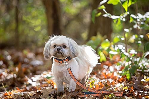 NCAA PET String, Large, Auburn Tigers, Dog String, Shiny & Colorful String for Dogs & Cats Licensed by the NCAA, Old Version