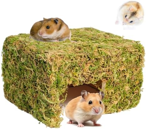 Hamster Hideout - Large, Natural Moss, Handcrafted for Syrian Hamsters, Rats & Guinea Pigs, Hermit Crab,Hedgehogs,Lizards & Other Reptiles（Square, Large）