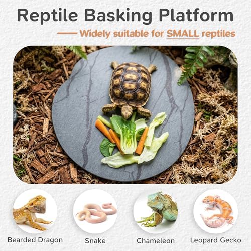Reptile Basking Platform, 6''x6'' Basking Rocks for Bearded Dragons Turtle