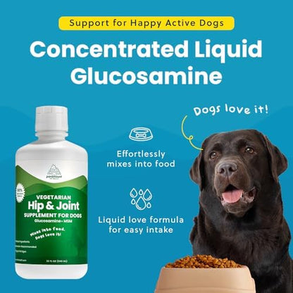 Plant-Based Liquid Glucosamine for Dogs, 1600mg Joint Support, MSM, Glucosamine & Omega 3-6-9, Shellfish-Free Dog Arthritis Supplement for Mobility & Flexibility, Made in USA, 32 oz