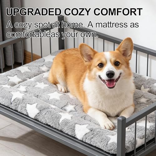 Dog Crate Mat, 4 Piece Reversible Pet Bed, Polyester, Machine Washable, Small Dogs & Cats, Rectangular (Gray Star, 24" L x 18" W x 1.5" Th)