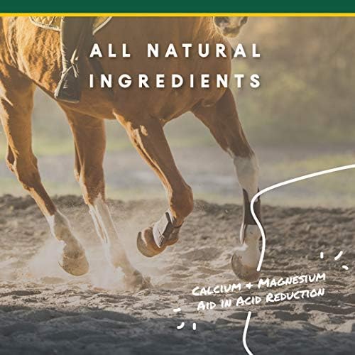 Corta-FLX U-Gard Powder Equine Digestive Supplement, 8 lb Bucket