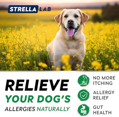 Dog Allergy & Itching Relief - Anti Itch, Skin&Coat Support Chews w/Omega 3