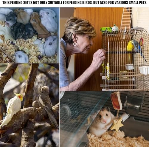 Baby Bird Feeding Syringe Set, Small Pet Parrot Feeding Tubes for Birds, Hand Feeding Tubes Kit Parrot Feeder Food Feeding & Watering Supplies for Small Pet Baby Birds (20ML+50ML)