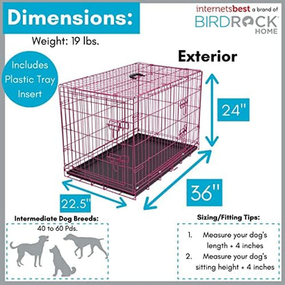 Internet's Best Wire Dog Crate for Dogs - Double Door Metal Steel Crate, Indoor Folding & Collapsible Cage, Secure & Durable, Portable Travel Kennel, Ideal for Home Use - Pink, 36 Inches