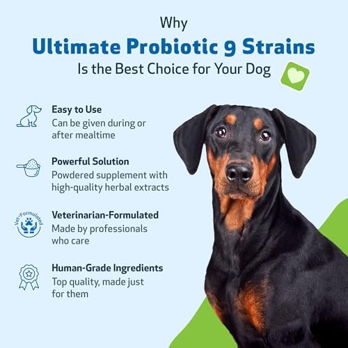 Pet Wellbeing Ultimate Probiotic 9 Strains for Dogs - Gut Health, 320 g