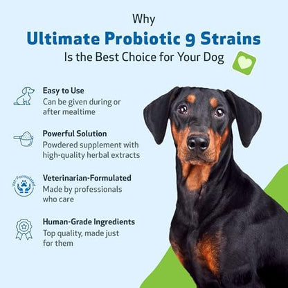 Pet Wellbeing Ultimate Probiotic 9 Strains for Dogs - Gut Health, 320 g